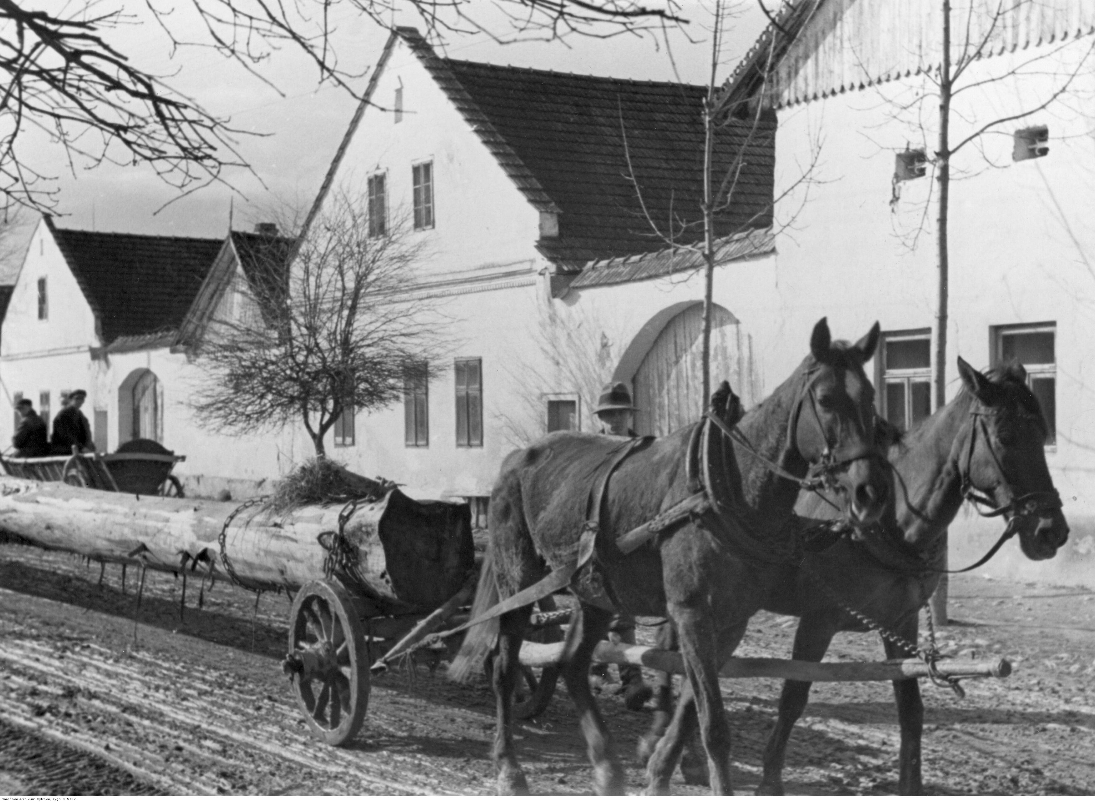 Gołkowice Dolne - w latach 1918 - 1933 