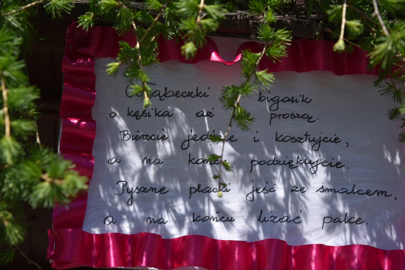8 Lachowska Micha - przybywajcie !!!  